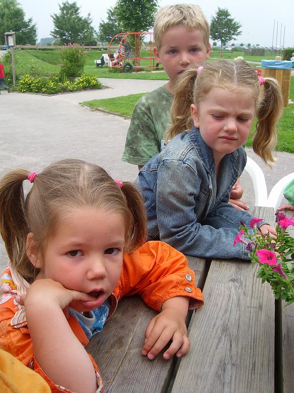 070612 skoalreiske beukers 005.jpg